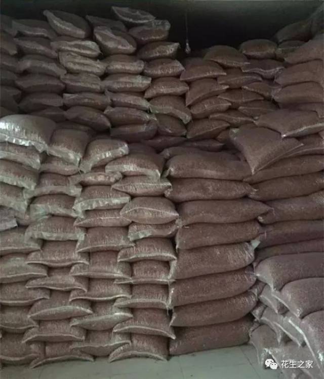 超级供应商推荐:河南开封高兵花生米购销中心(高清杰 )