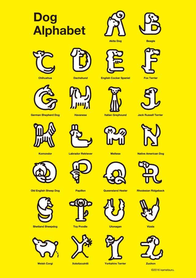 各个品种的狗狗组成的26个英文字母