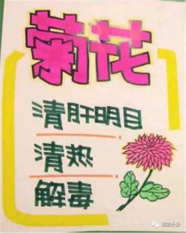 枸杞菊花pop图片