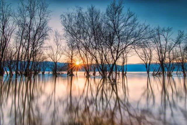 六位著名女诗人经典现代诗,唯美!