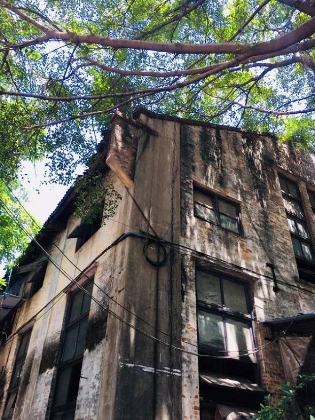 【创业地图】黄埔滩设计公社丨珠江畔旧厂房,摇身一变