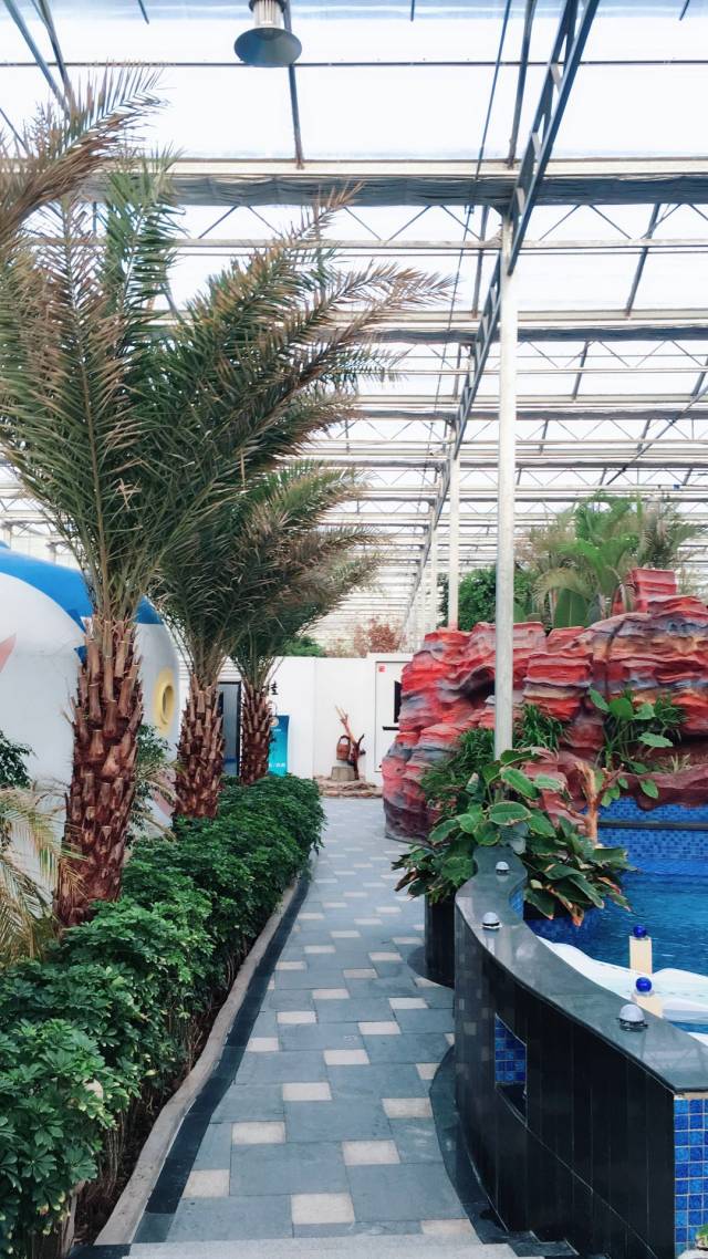 银川那些事儿|在燥热的银川,也许只有沙温泉能够拯救我游荡的灵魂了