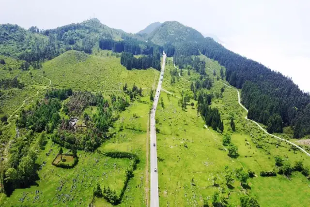 千野草場