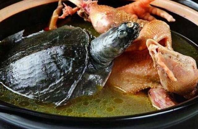 奇食之旅:江苏徐州名菜"霸王别姬",纪念项羽但菜名实在是糟糕