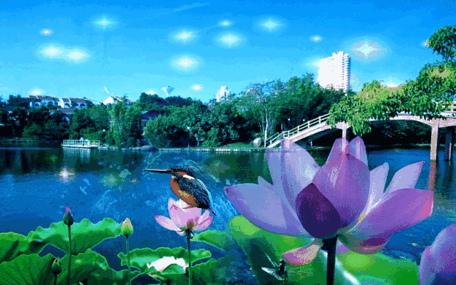 640_400gif 动态图 动图