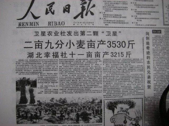 1958年6月12日人民日报报道河南省遂平县卫星农业社5亩小麦平均亩产