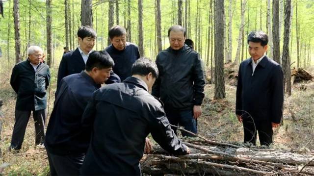 闫宏光在根河 得耳布尔 莫尔道嘎林业局调研