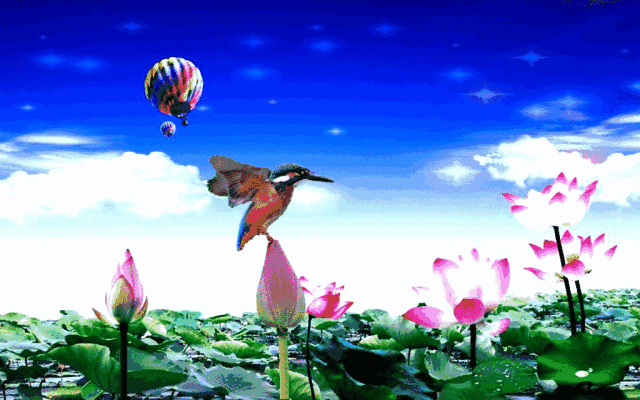 【音画欣赏】荷花赋,一万年难得一见,太美了!
