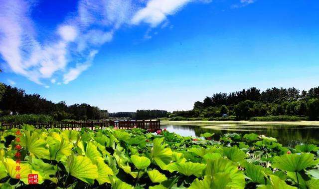 北運河郊野公園