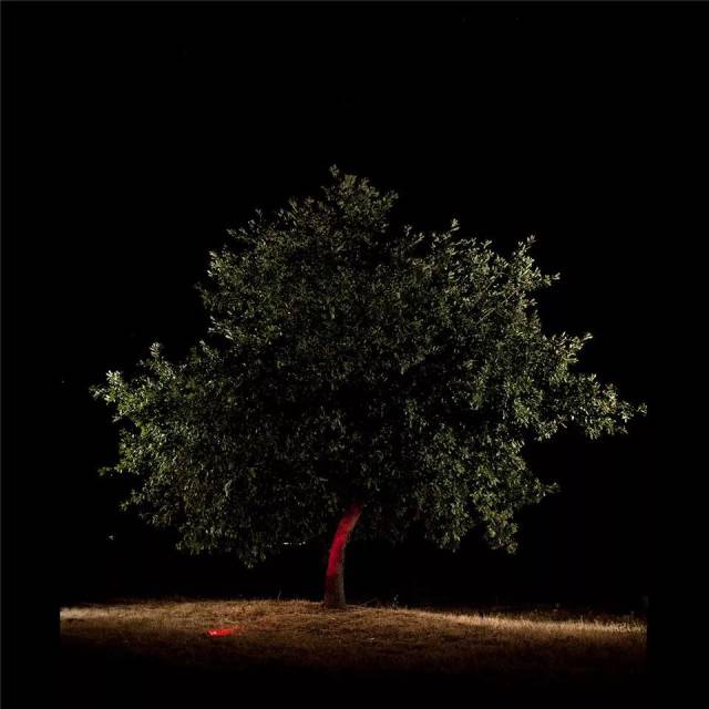 | 王开岭 | 古典之殇