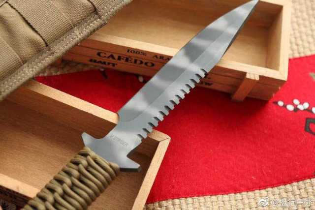 摄影图册欣赏 strider挺进者d9-ss