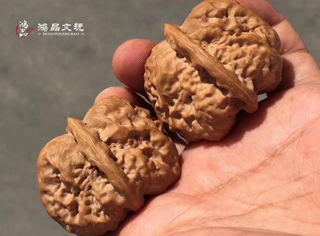 精品蛤蟆头，一种小众品种的文玩核桃_搜狐网