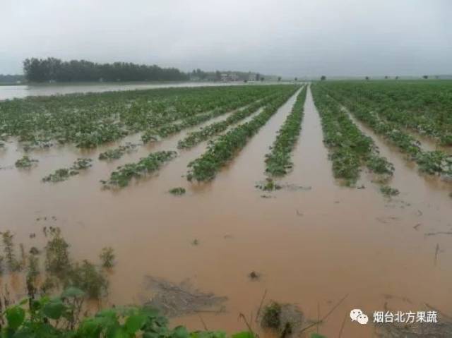 专家预测:厄尔尼诺现象已结束,2018年为拉尼