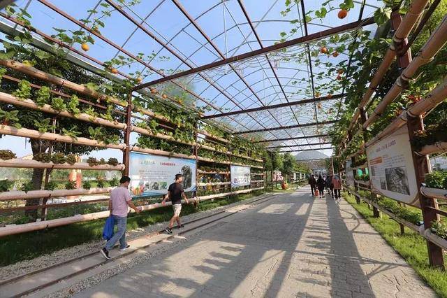 案例:把精品水果采摘基地打造成童趣乐园,4 个月接待30 万人