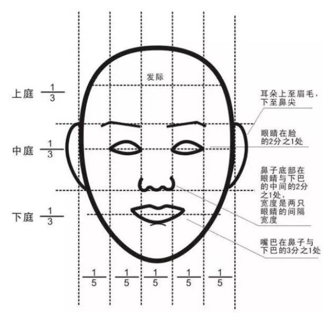 三庭五眼