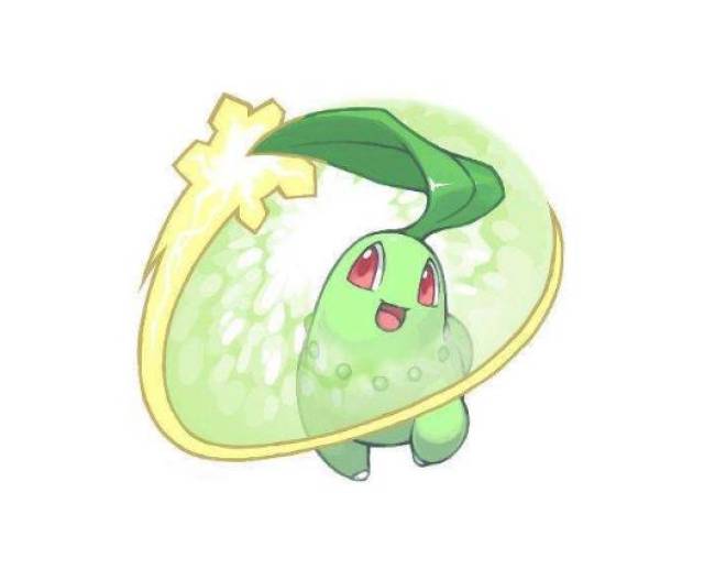 《精灵宝可梦》图鉴152:用头上叶子散发香气的宝可梦——菊草叶