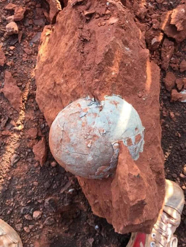 恐龙蛋内部你见过吗?蛋清如同水晶!