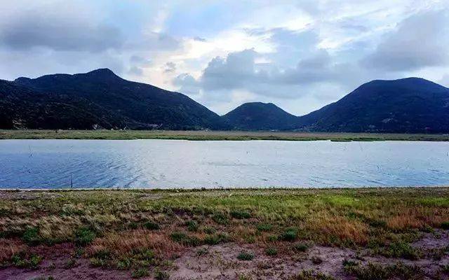 象山这个"岛"火了!群众都跑来吃瓜