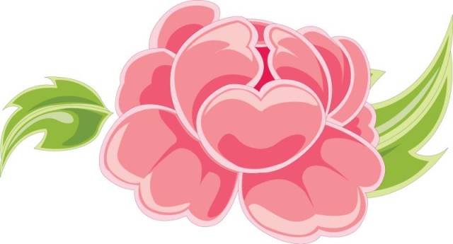 川电劳模|张晶:一朵美丽的芙蓉花