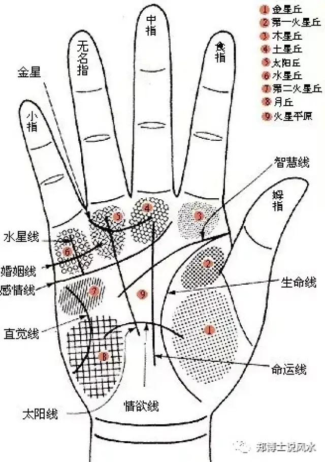 郑博士：手相为何能看出一个人的命运？_搜狐网