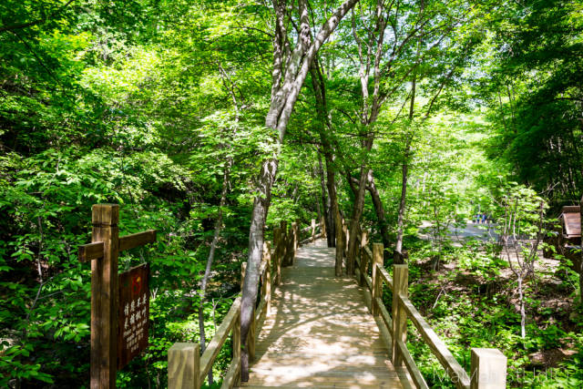 自駕線路 瀋陽市府廣場-沈丹高速-太子河大橋(在本溪水洞出口)-進入