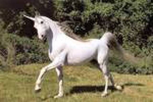 杭州余杭区发布《独角兽政策》,企业最多可获