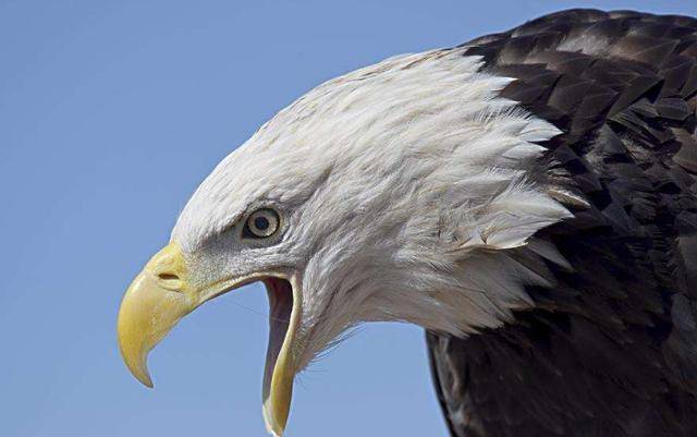 选对遮阳,开始"绿色"品质生活