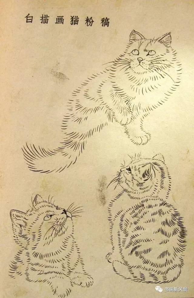 曹克家难得一见的画猫白描图