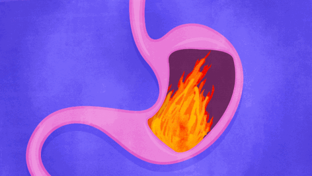 640_361gif 动态图 动图