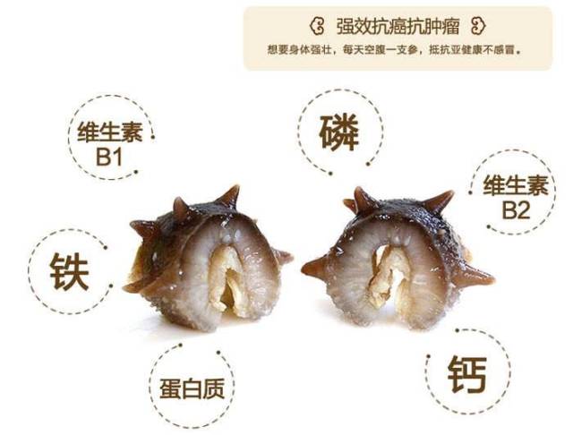 海参的价值你知道吗?