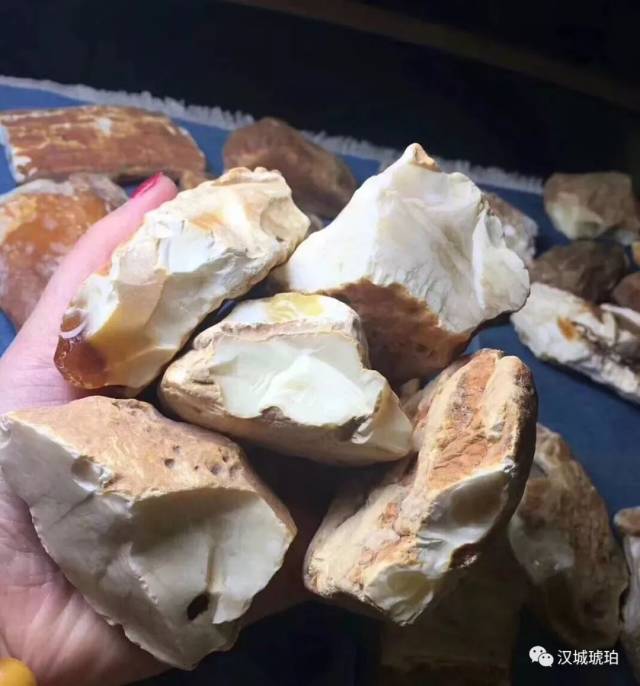 它比象牙还白,比黄金还贵,且极具收藏价值,你手上有吗?