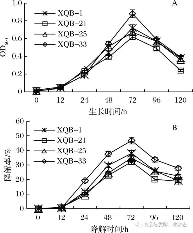 600值和降解率逐漸降低,表明4株菌的生長和功能發揮趨於同步.