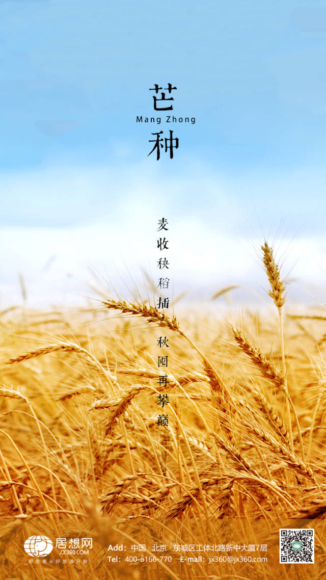 芒种,生活便是播种什么收获什么