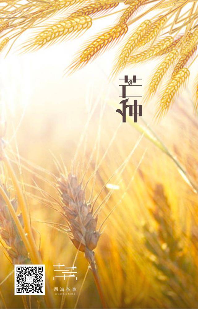 太阳到达黄经75°时,芒种节气正式开始,它的到来表示着仲夏来临