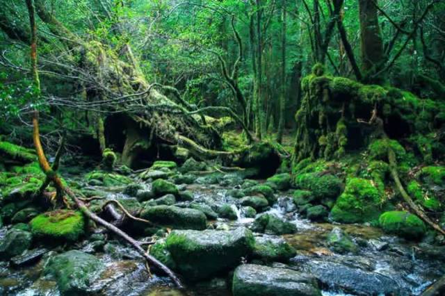 不去天堂,就去这9处亚洲绝美秘境 | 香港澳门齐上榜!