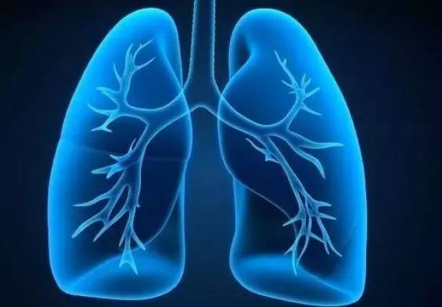 急性肺损伤 ali,慢性阻塞性肺疾病 copd,急性呼吸窘迫综合征