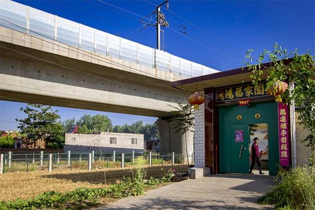 河南汤阴:高铁从我家门口过,火车道下是我的庄稼