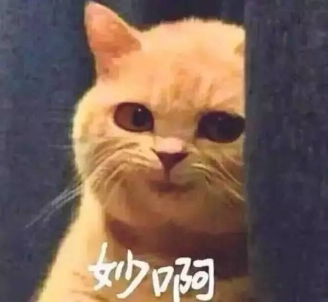 我不叫xx,谢谢.