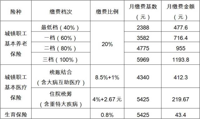 社保缴费基数