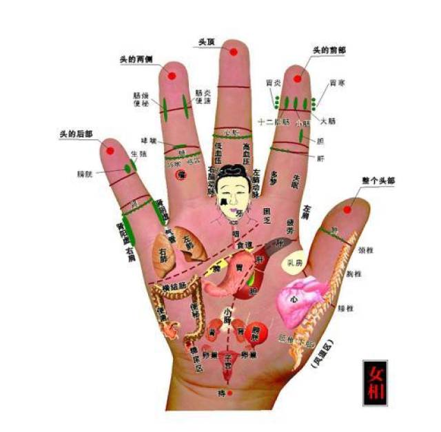 手诊| 背诊 | 面诊 | 眼诊 | 嘴诊 | 大全