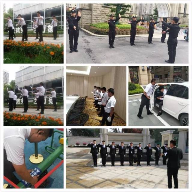 提升案场品质,打造星级案场——2018金碧物业案场提升月行动特辑