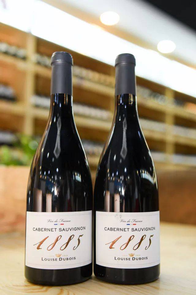 1885古堡(louise dubois1885) 就是其中最不容忽视的一家精品酒庄.