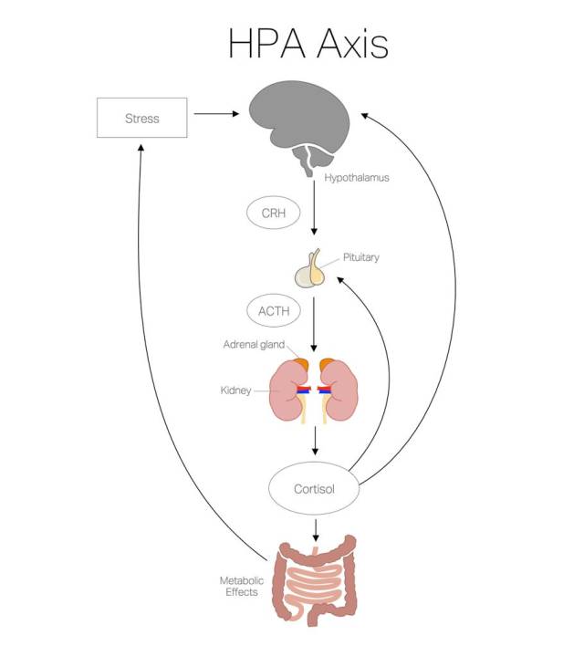 抑郁症离我们如此之近,就像感冒一样"常见"!