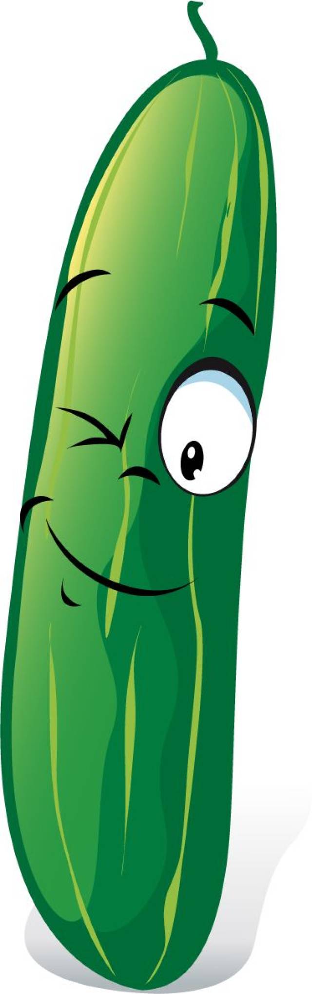 生命德育实践之农垦园种植篇 | 四(4)班黄瓜成长记