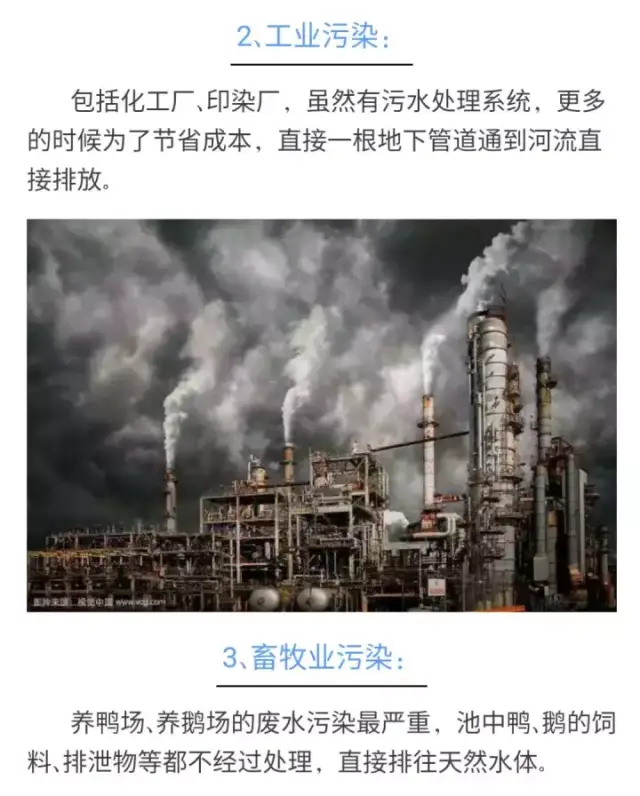 解读养殖业污水处理设备的重要性与应用