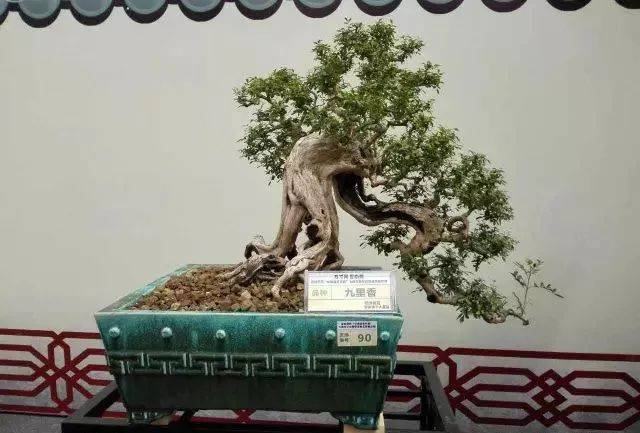 罗崇辉作品