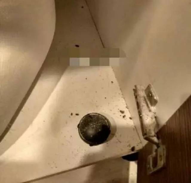 日本造了个环保"生化武器",能把家里的蟑螂统统灭掉!