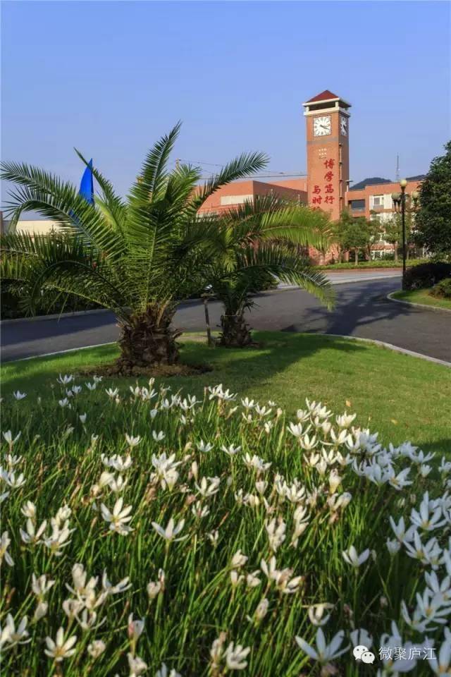 一位庐江中学老师写给学生的话,传遍了整个庐江