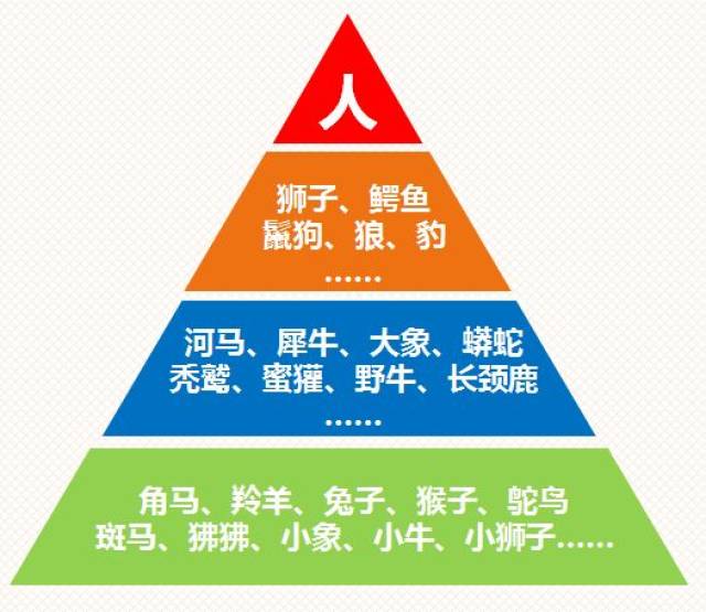 在这片危机四伏的草原上,各种生物构成了一个 "金字塔层级系统"
