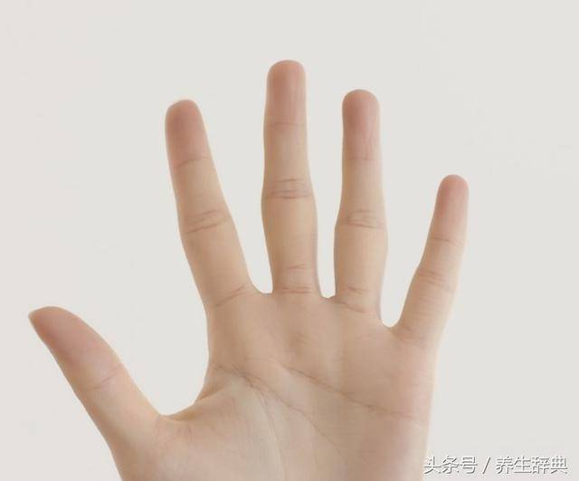 五指 搜狐网